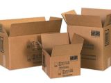 Những lợi ích lớn đến từ bao bì carton